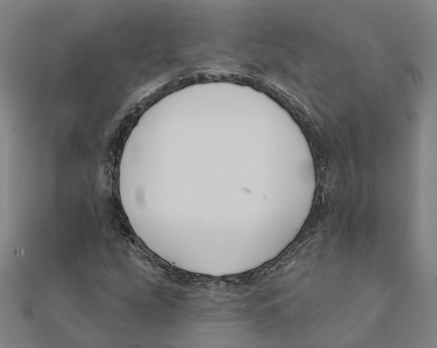 X0000111421207200908101049