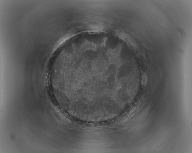 X0000111421208200908101049