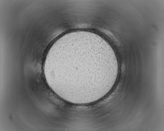 X0000111421209200908101049