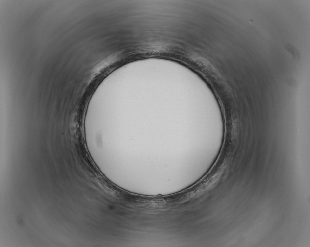 X0000111421210200908101049