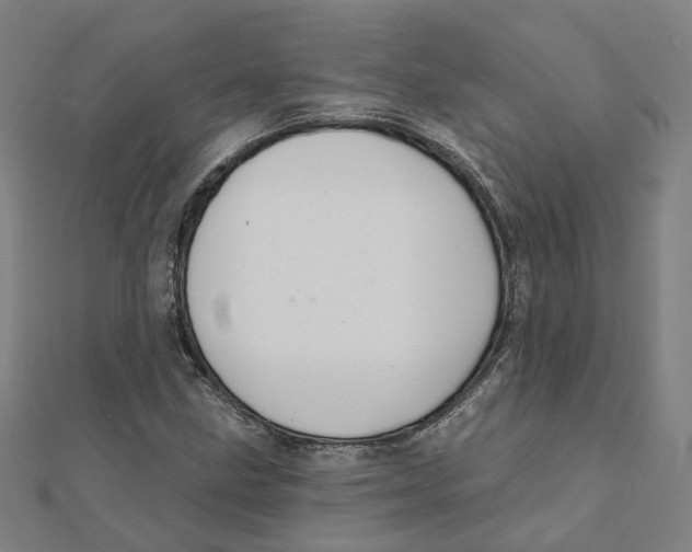 X0000111421211200908101049