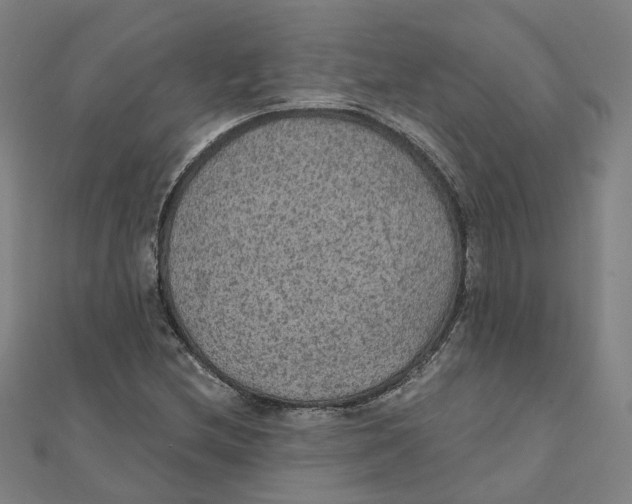 X0000111421212200908101049