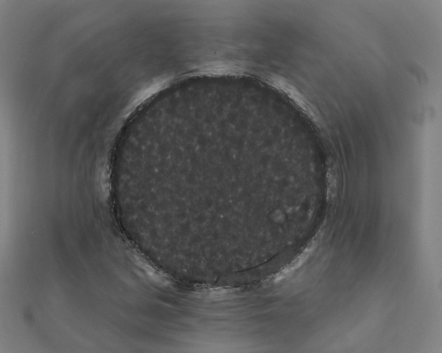 X0000111421213200908101049