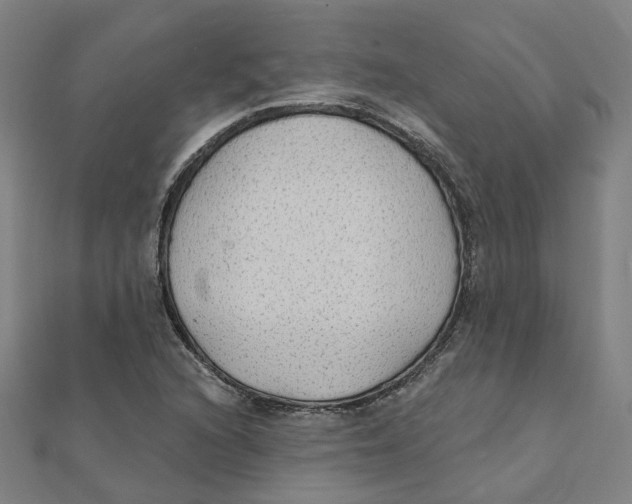 X0000111421216200908101049