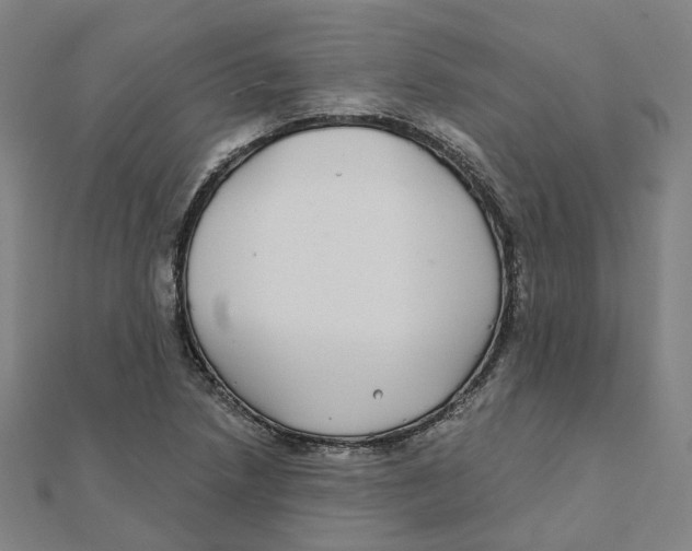X0000111421218200908101049