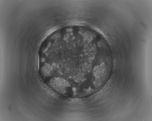 X0000111421219200908101049