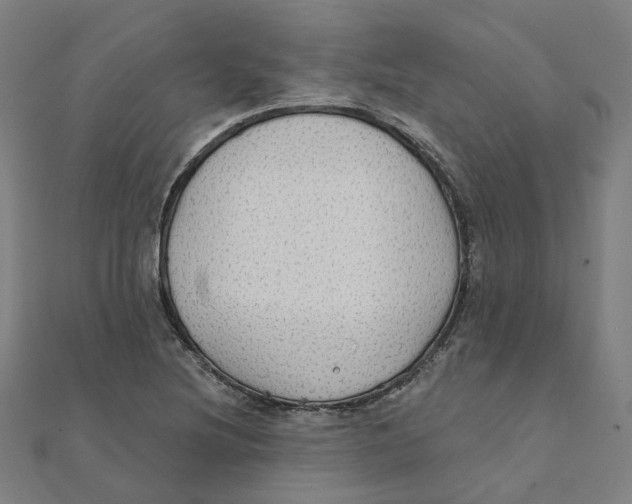 X0000111421220200908101049