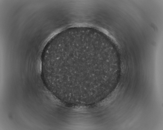 X0000111421221200908101049