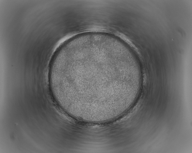X0000111421222200908101049