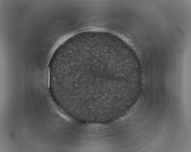 X0000111421223200908101049