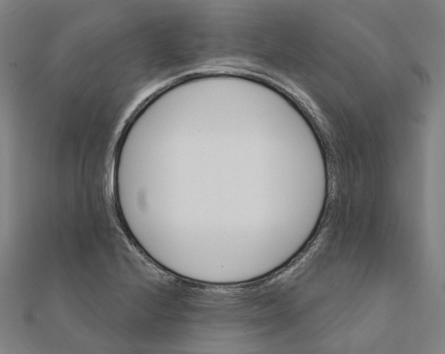 X0000111421224200908101049