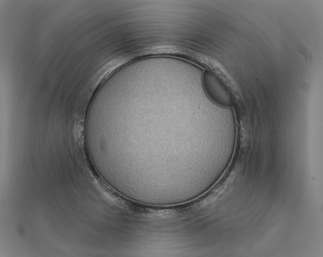 X0000111421225200908101049