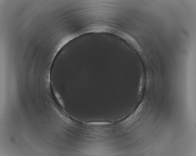 X0000111421226200908101049