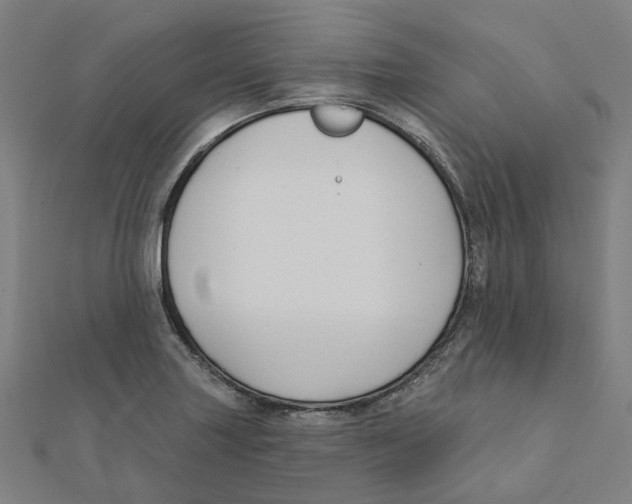 X0000111421227200908101049