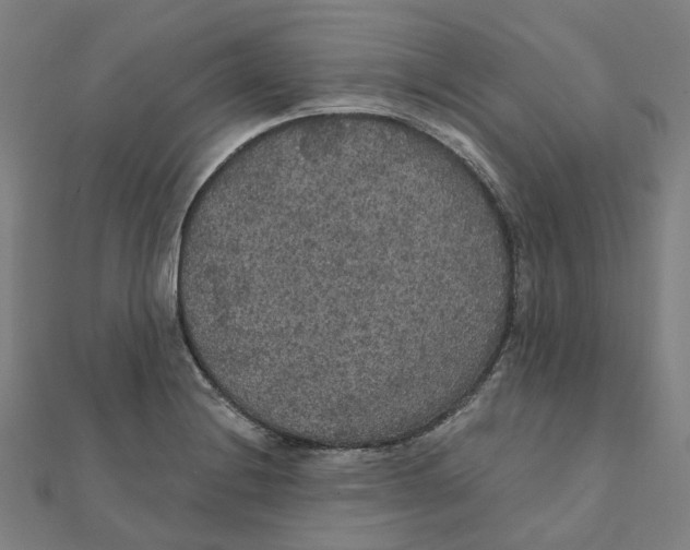 X0000111421228200908101049