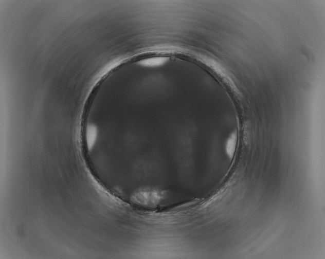 X0000111421229200908101049