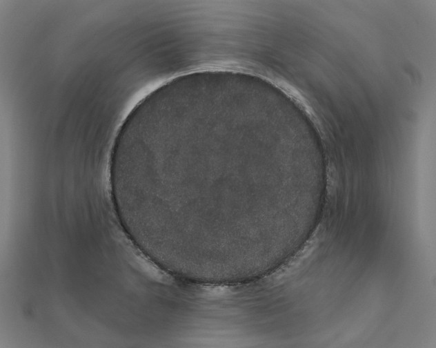 X0000111421230200908101049