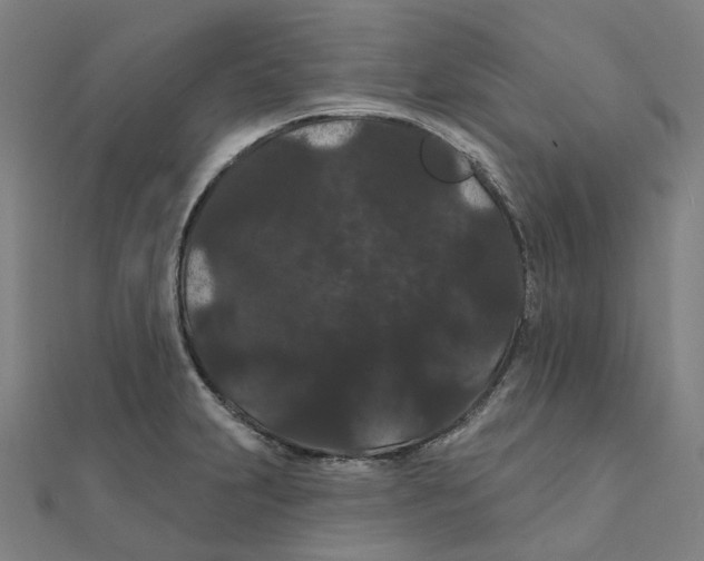 X0000111421231200908101049