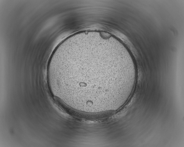 X0000111421234200908101049