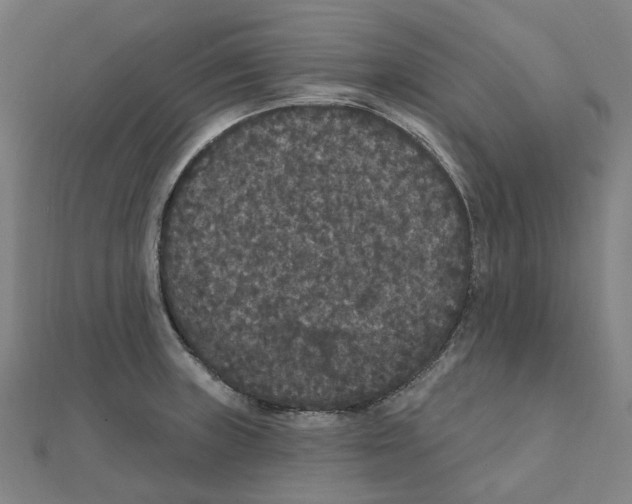 X0000111421235200908101049