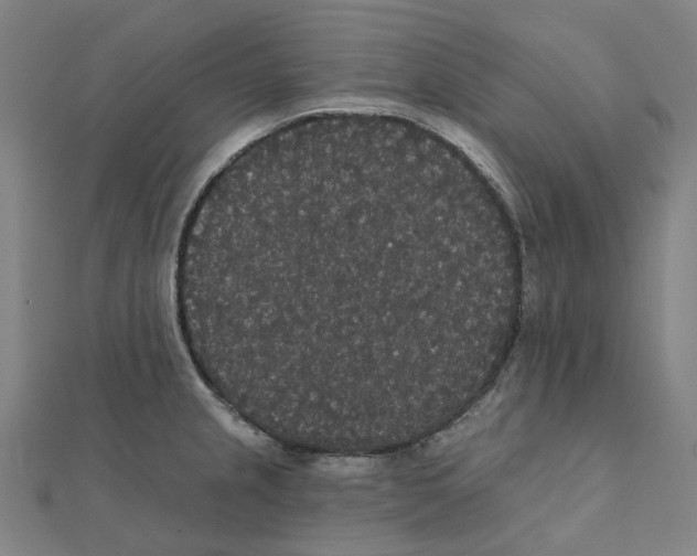 X0000111421237200908101049