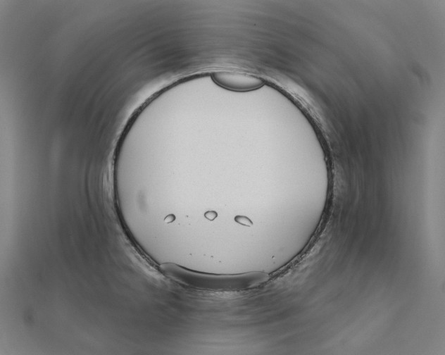X0000111421238200908101049