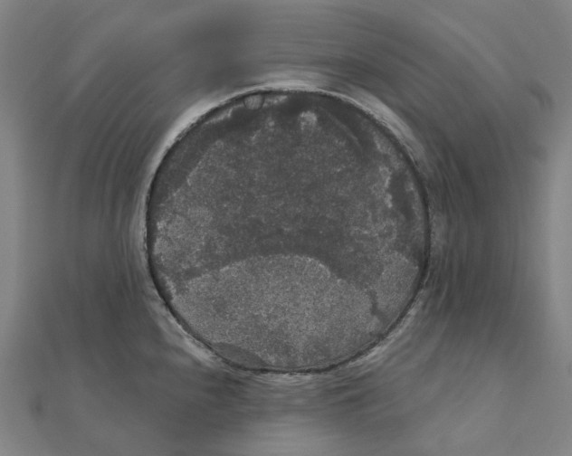 X0000111421240200908101049