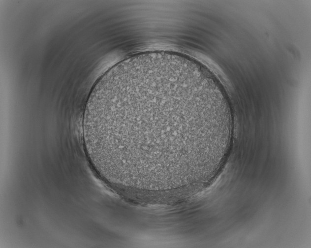 X0000111421241200908101049
