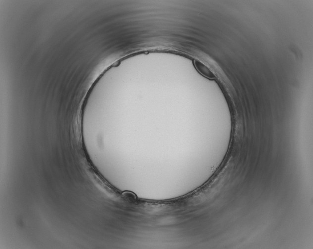 X0000111421242200908101049