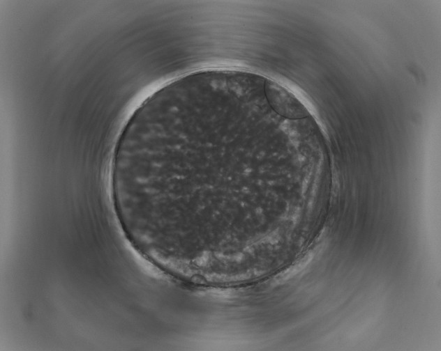X0000111421245200908101049