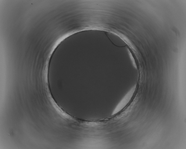 X0000111421246200908101049