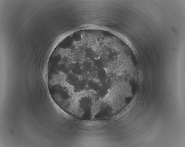 X0000111421247200908101049