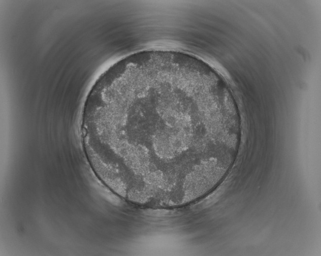 X0000111421248200908101049