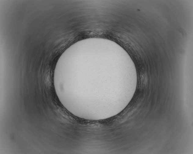 X0000111421250200908101048