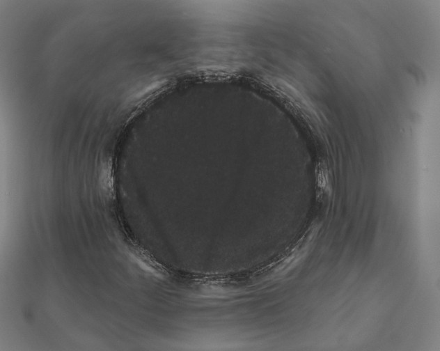 X0000111421252200908101048