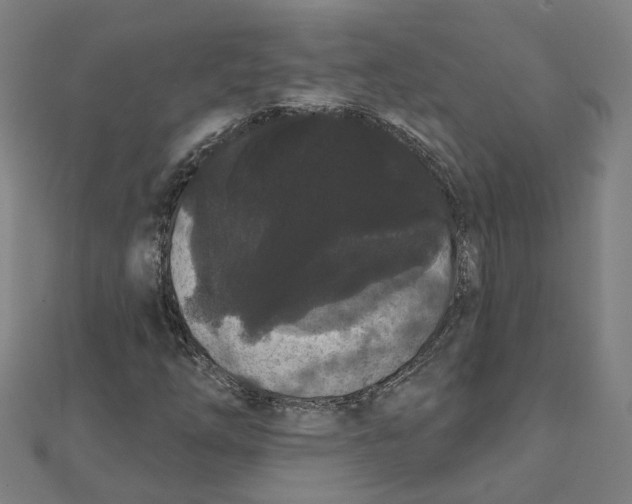 X0000111421254200908101048