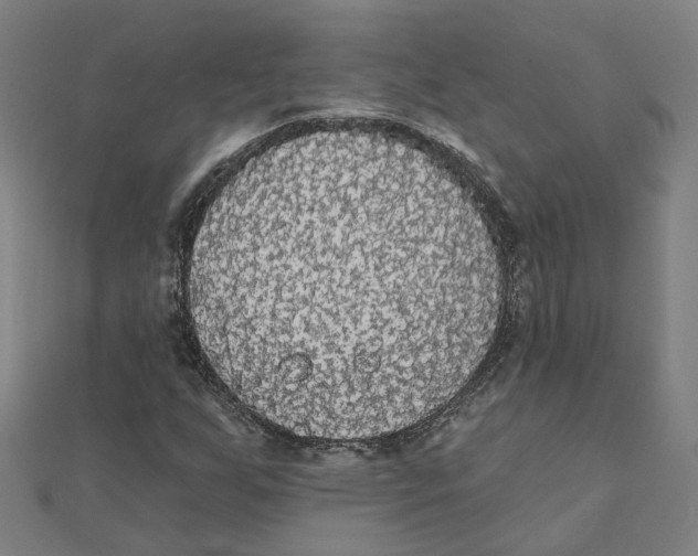 X0000111421255200908101048
