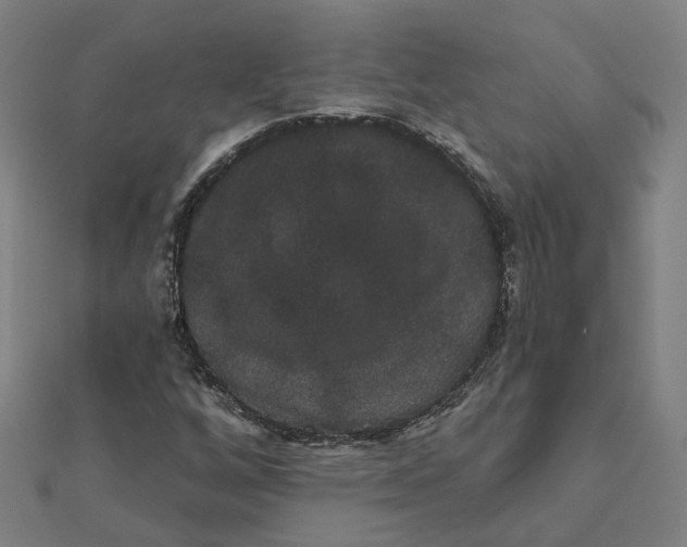 X0000111421256200908101048