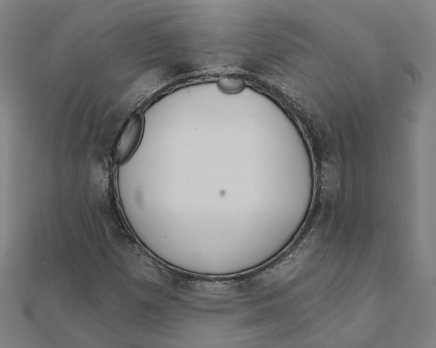 X0000111421257200908101048