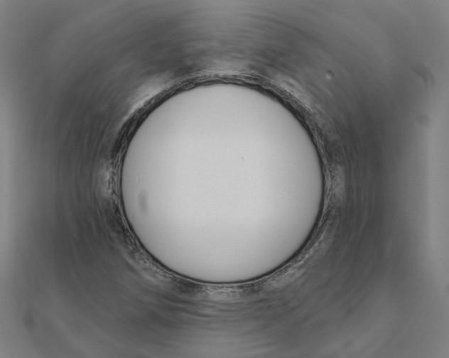 X0000111421258200908101048