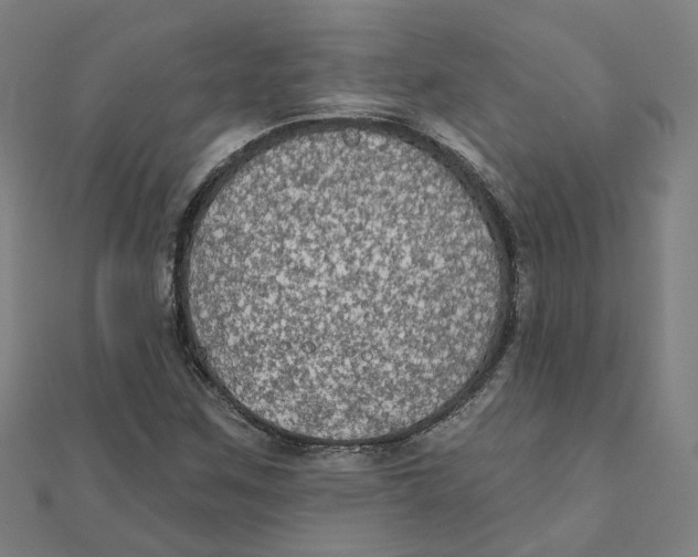 X0000111421259200908101048