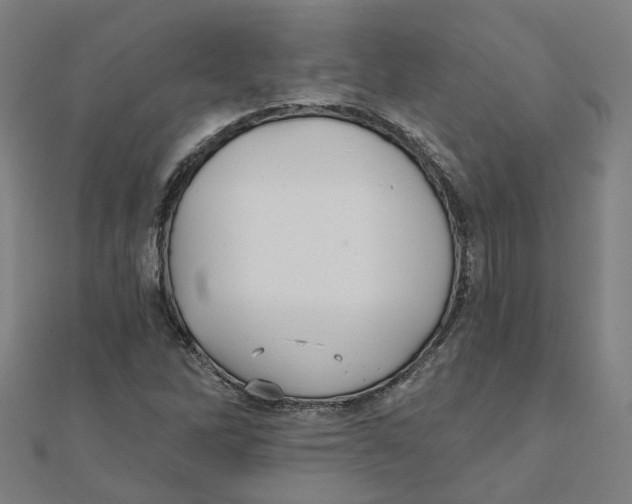 X0000111421262200908101048