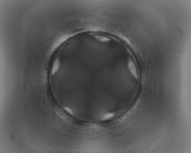 X0000111421263200908101048
