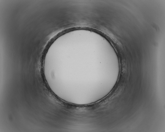 X0000111421264200908101048