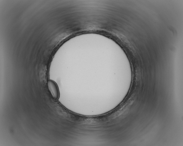 X0000111421265200908101048