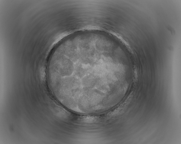 X0000111421266200908101048