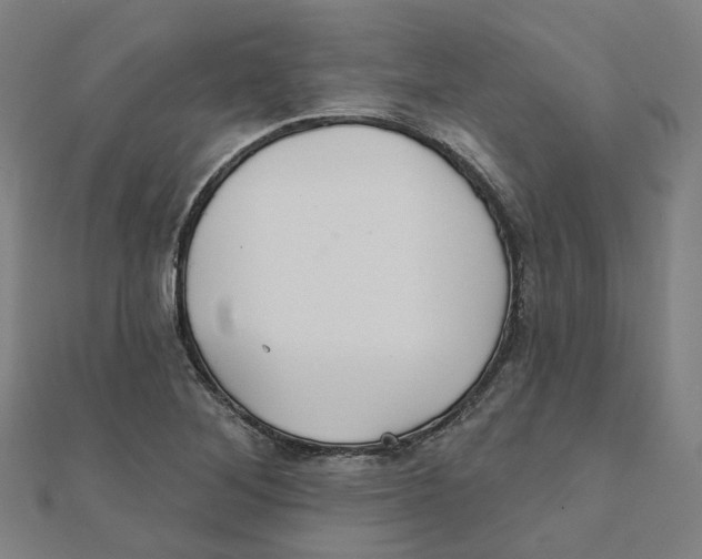X0000111421268200908101048