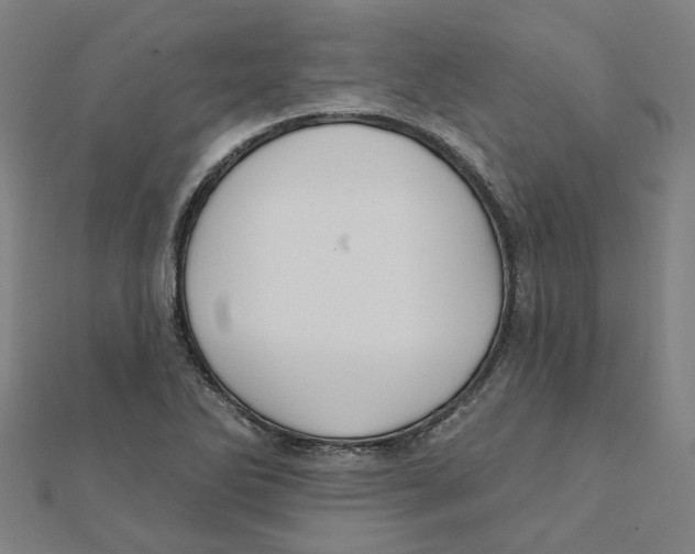 X0000111421270200908101048
