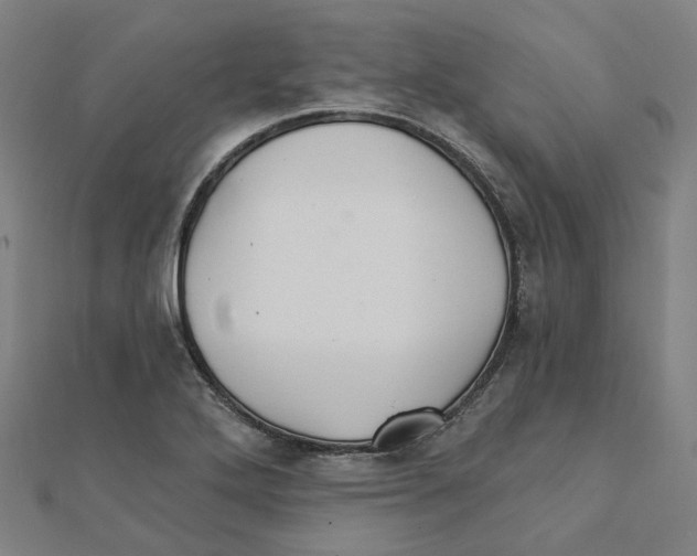 X0000111421272200908101048
