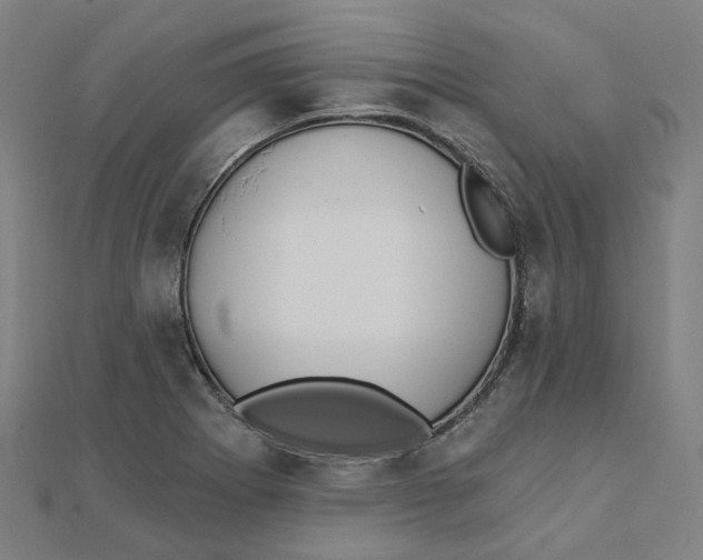 X0000111421273200908101048